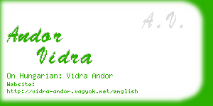 andor vidra business card